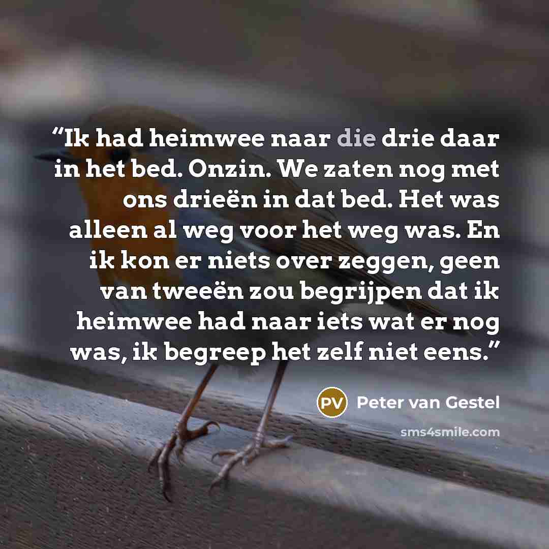 “Ik had heimwee naar die drie daar in het bed. Onzin. We zaten nog met ons drieën in dat bed. Het was alleen al weg voor het weg was. En ik kon er niets over zeggen, geen van tweeën zou begrijpen dat ik heimwee had naar iets wat er nog was, ik begreep het zelf niet eens.” quote by Peter van Gestel