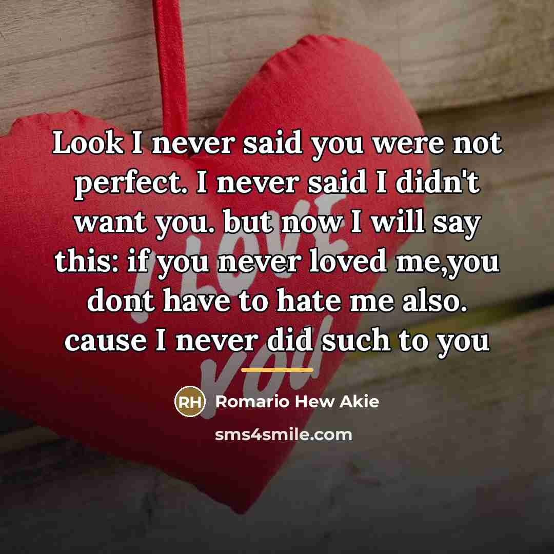 “Look I never said you were not perfect. I never…” quote by Romario Hew Akie