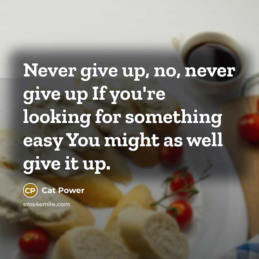 “Never give up, no, never give up If you're looking…” quote by Cat Power