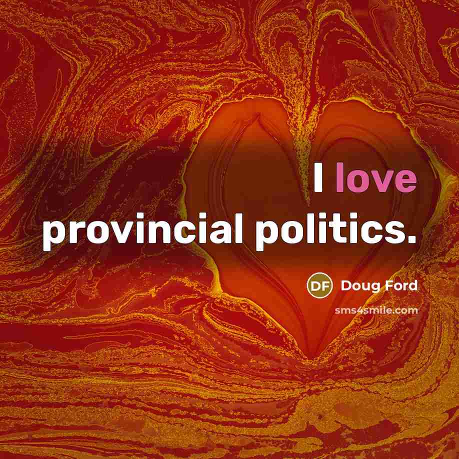 “I love provincial politics.…” quote by Doug Ford