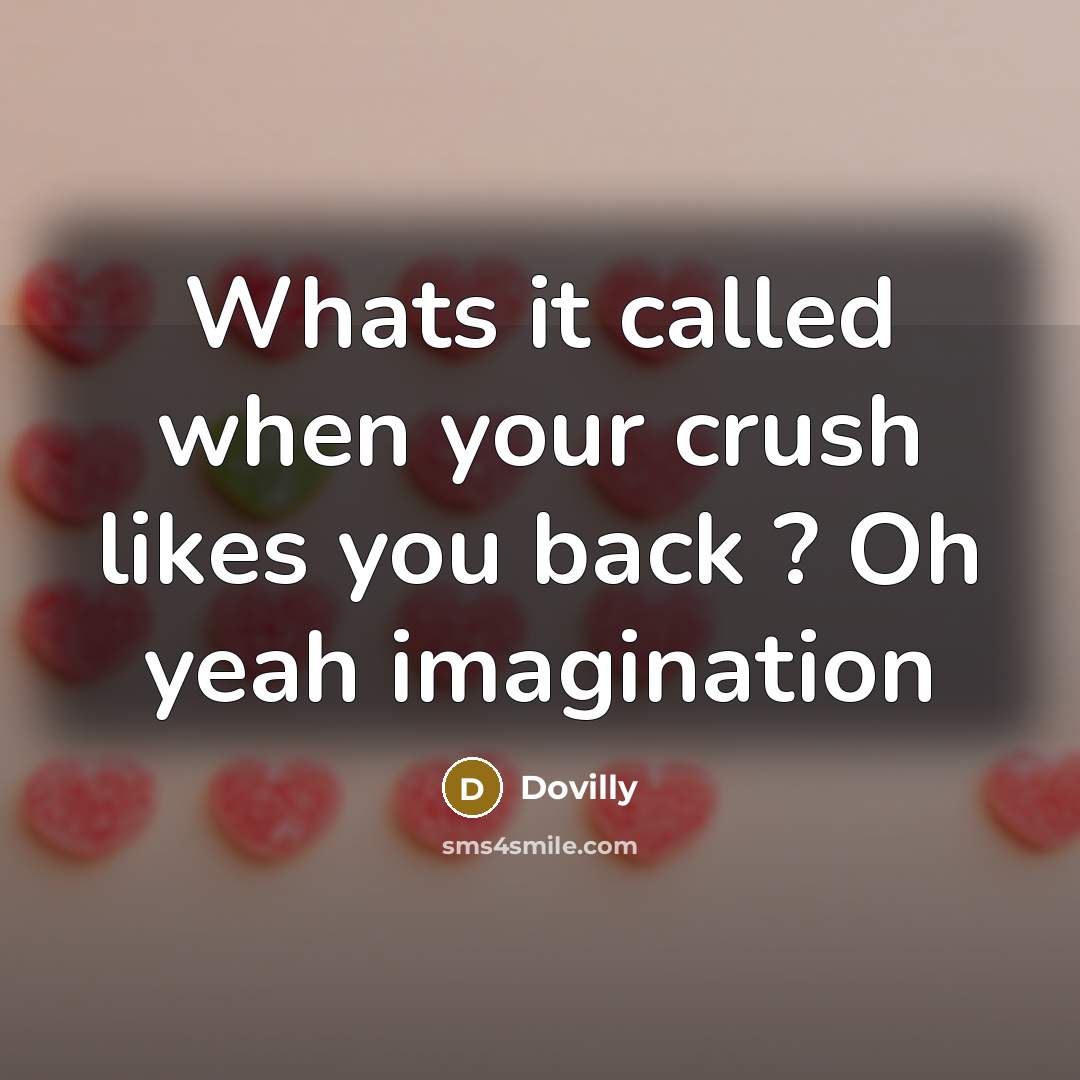 “Whats it called when your crush likes you back ? Oh yeah imagination” quote by Dovilly