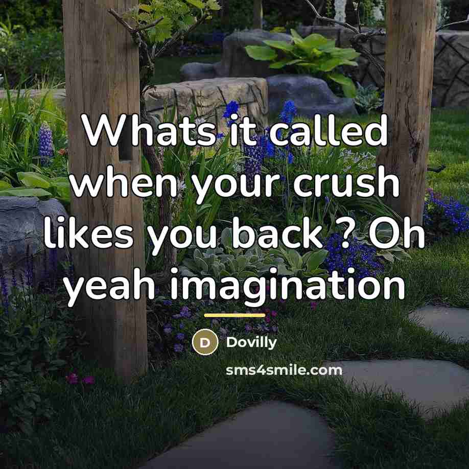 “Whats it called when your crush likes you back ?…” quote by Dovilly