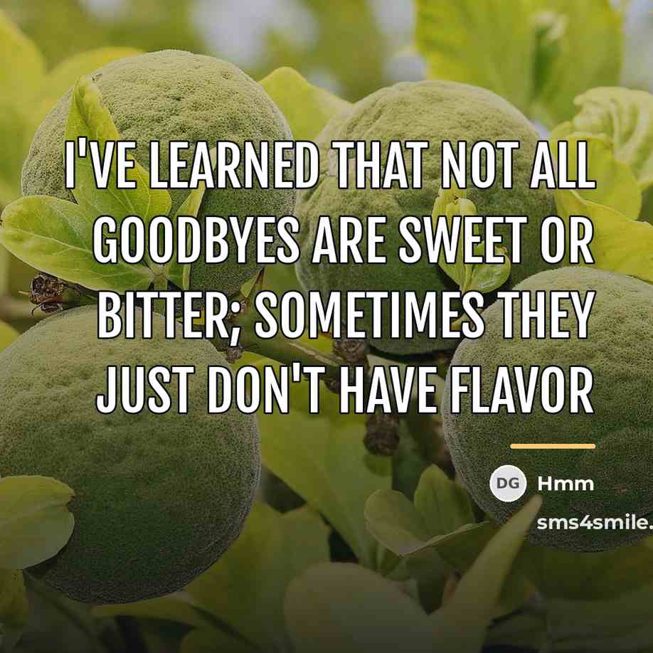 “I've learned that not all goodbyes are sweet or bitter;…” quote by Hmm