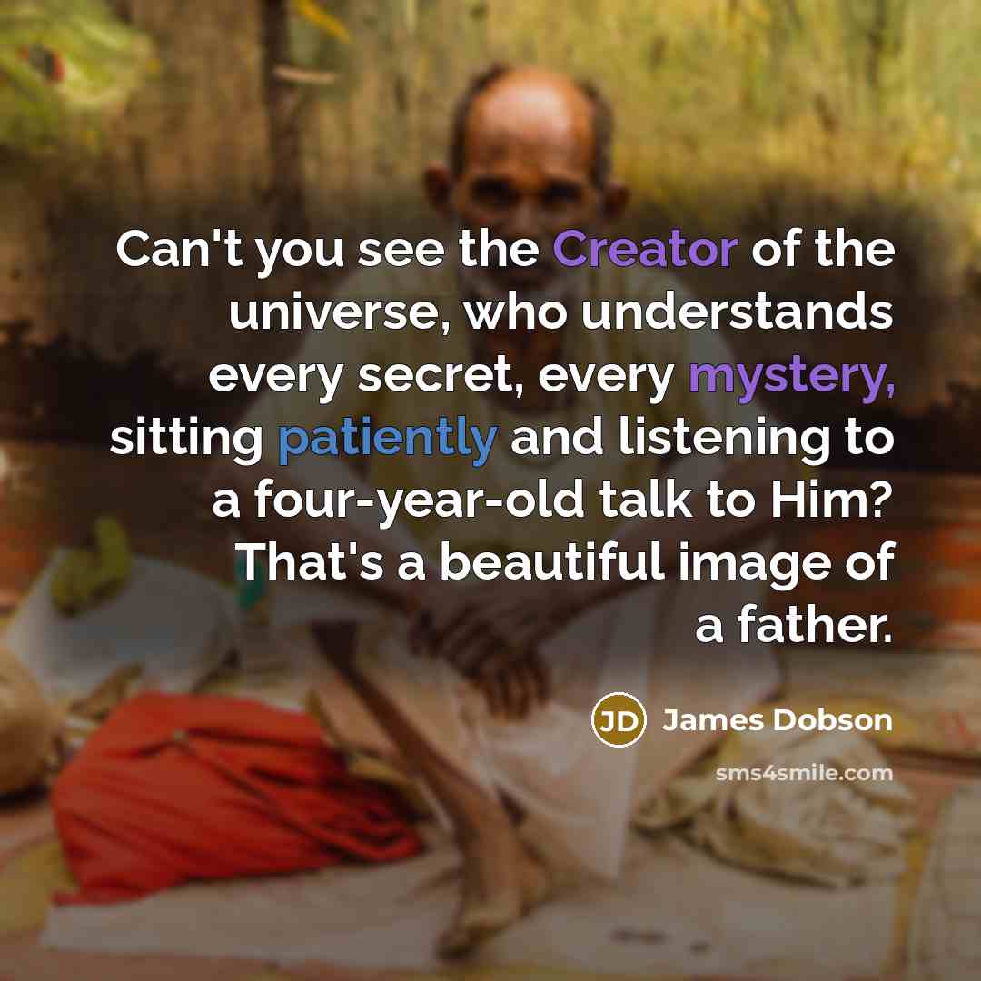 “Can't you see the Creator of the universe, who understands…” quote by James Dobson