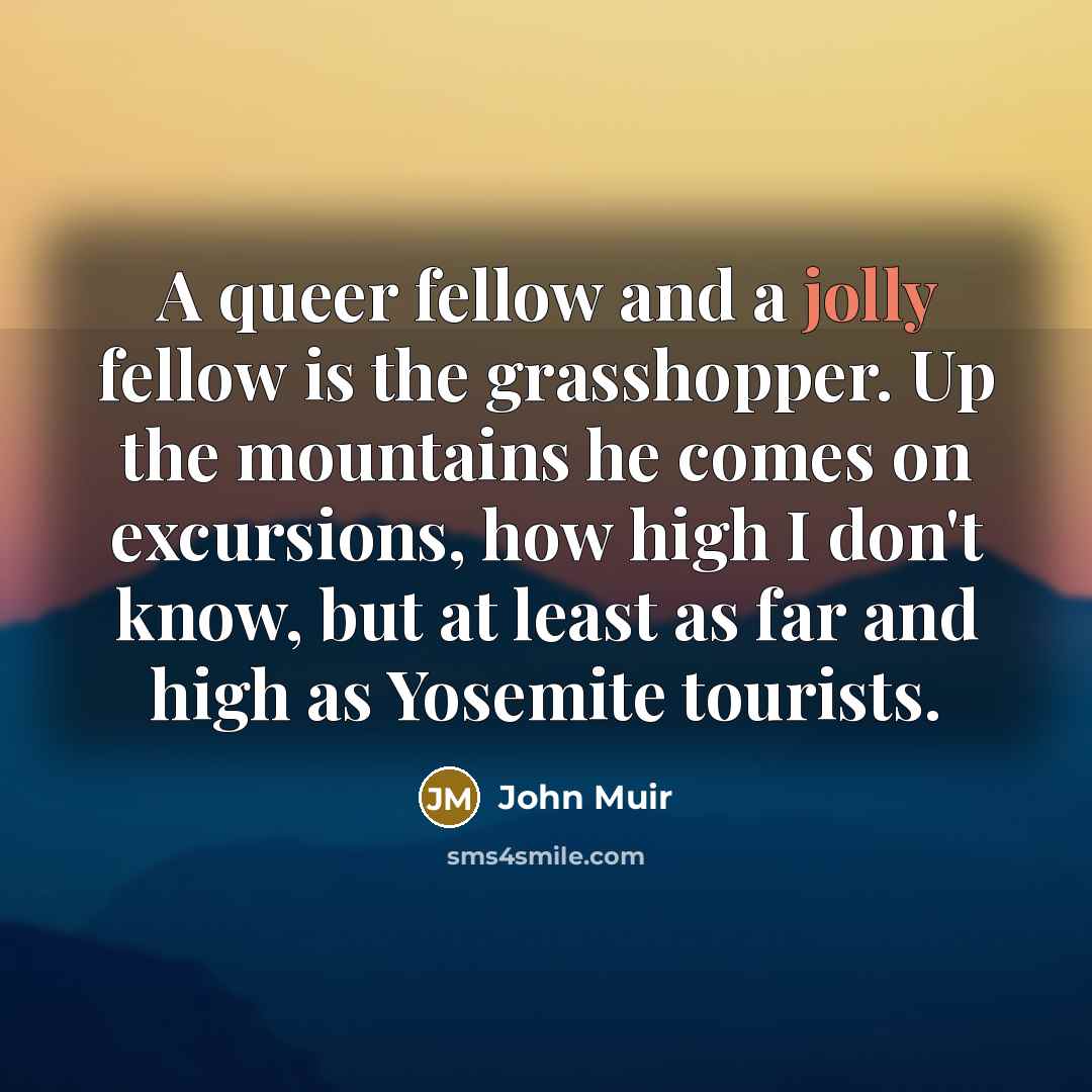 “A queer fellow and a jolly fellow is the grasshopper.…” quote by John Muir
