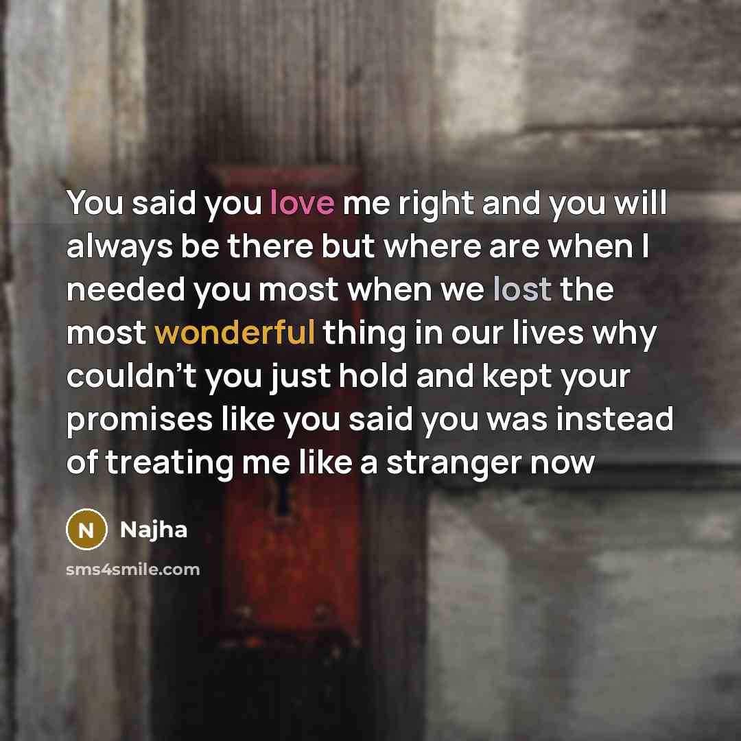 “You said you love me right and you will always be there but where are when I needed you most when we lost the most wonderful thing in our lives why couldn't you just hold and kept your promises like you said you was instead of treating me like a stranger now” quote by Najha