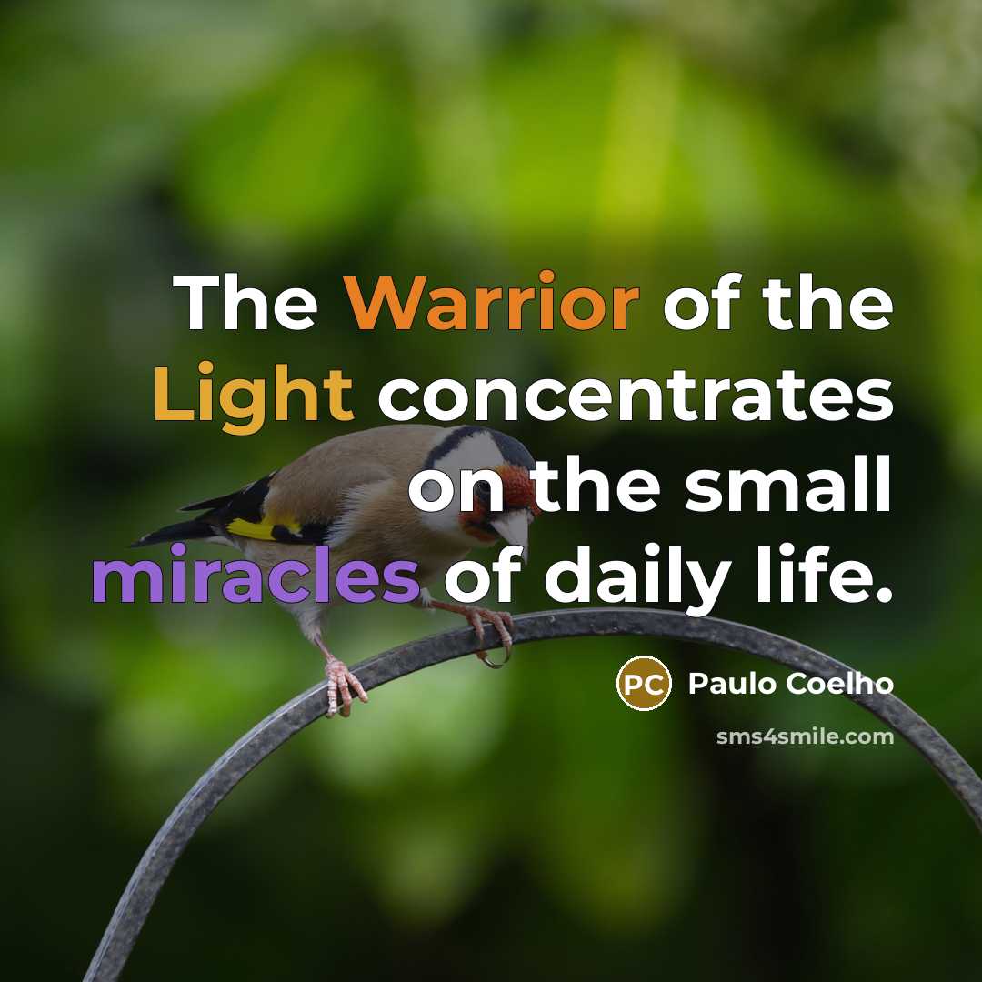 “The Warrior of the Light concentrates on the small miracles…” quote by Paulo Coelho
