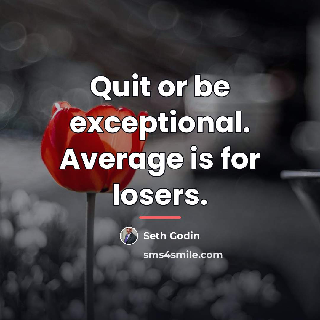 “Quit or be exceptional. Average is for losers.…” quote by Seth Godin