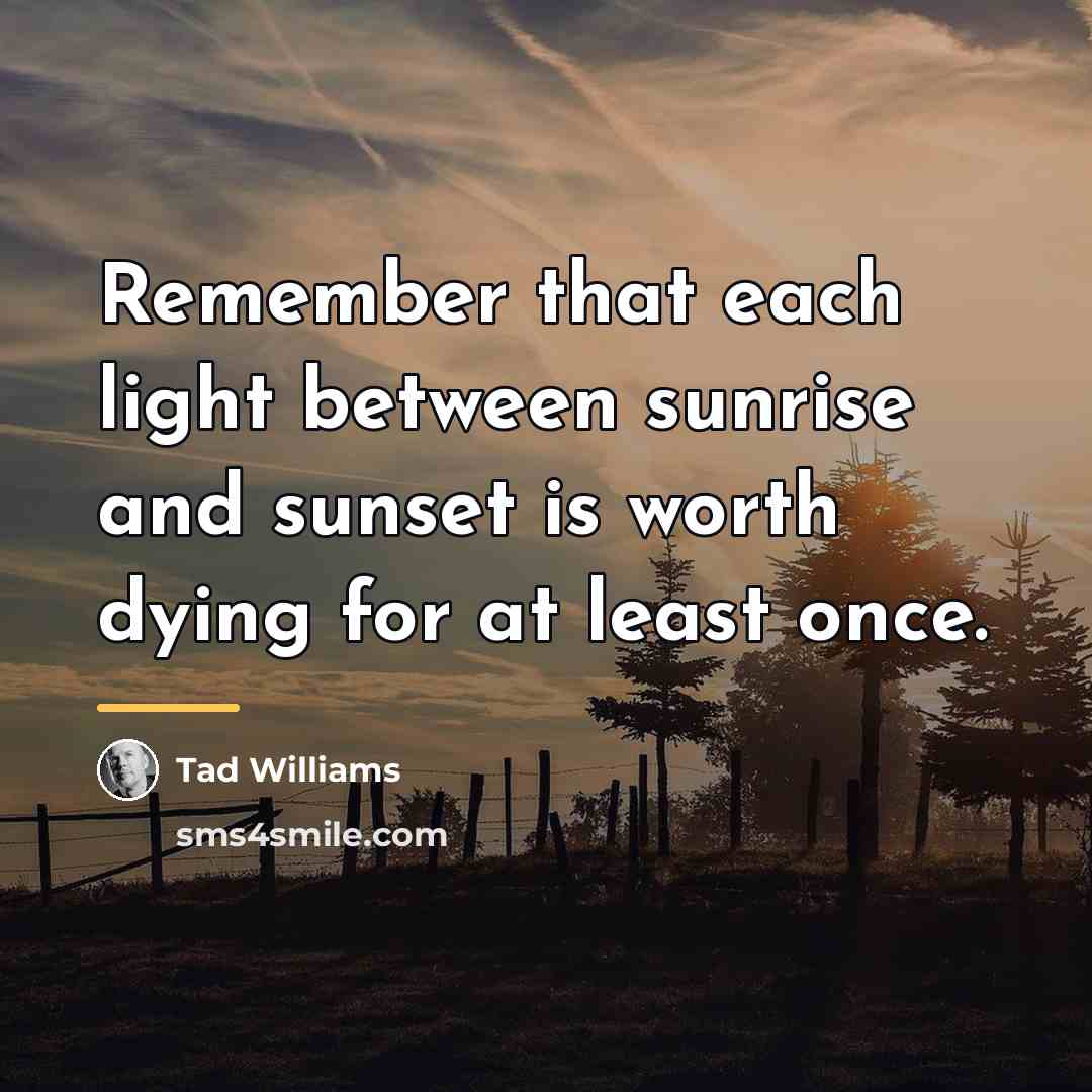 “Remember that each light between sunrise and sunset is worth…” quote by Tad Williams