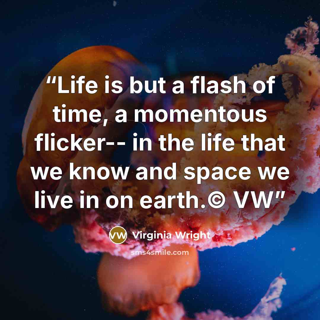 “Life is but a flash of time, a momentous flicker-- in the life that we know and space we live in on earth.© VW” quote by Virginia Wright