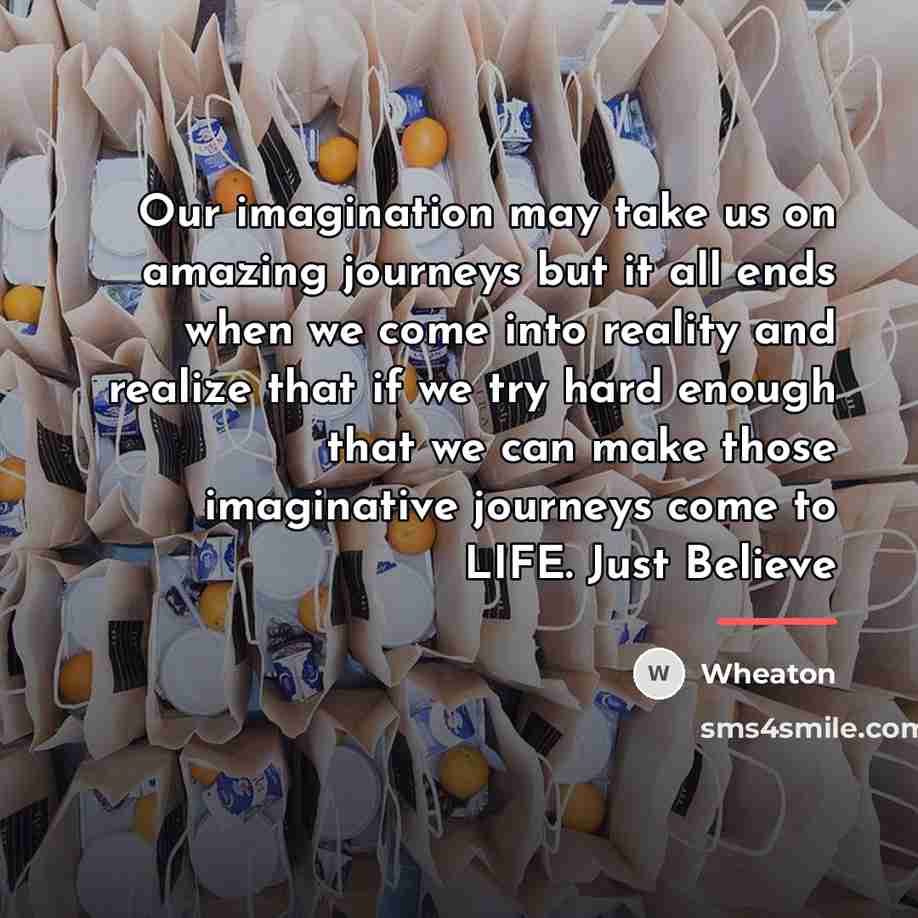 “Our imagination may take us on amazing journeys but it…” quote by Wheaton