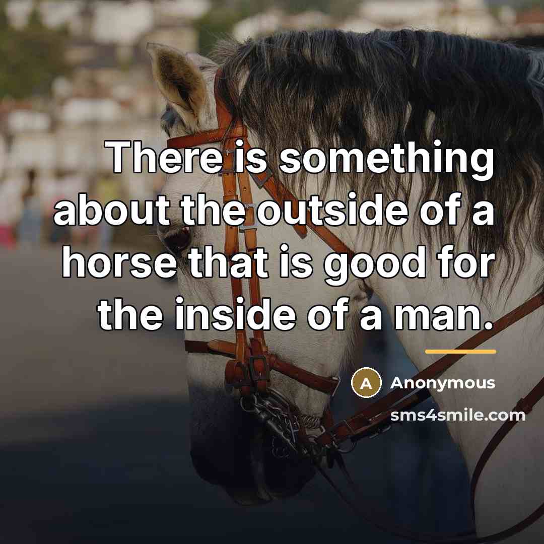 “There is something about the outside of a horse that…” quote by Anonymous