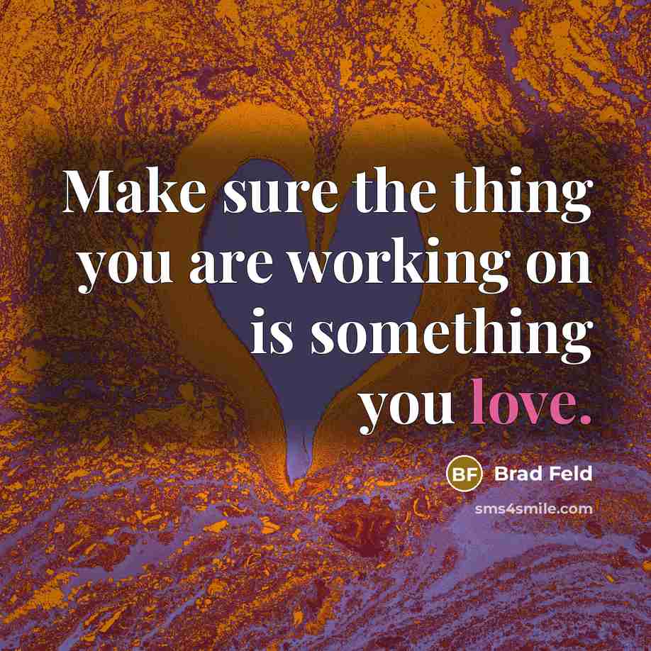 “Make sure the thing you are working on is something…” quote by Brad Feld