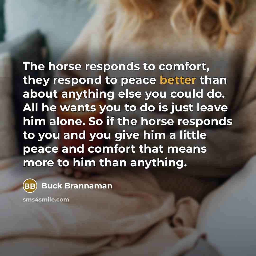 “The horse responds to comfort, they respond to peace better…” quote by Buck Brannaman
