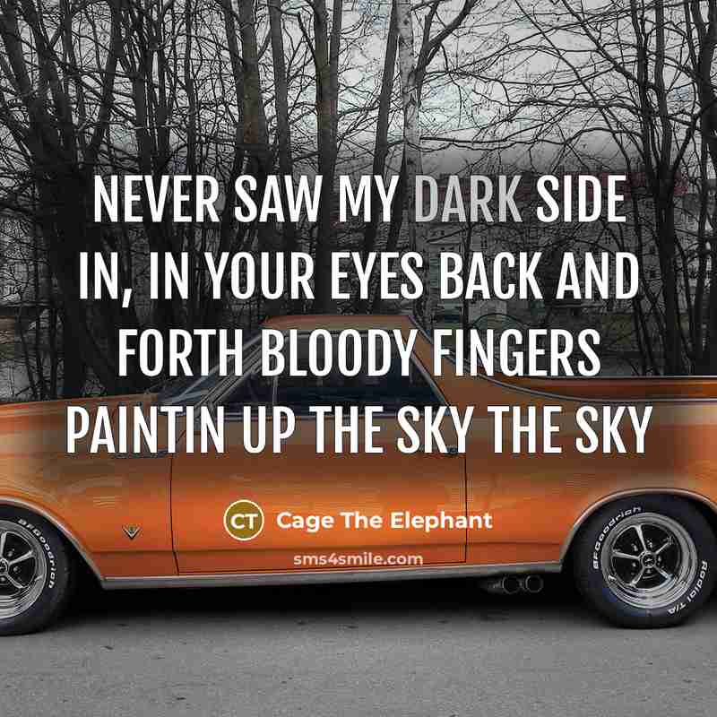 “Never saw my dark side In, in your eyes Back…” quote by Cage The Elephant