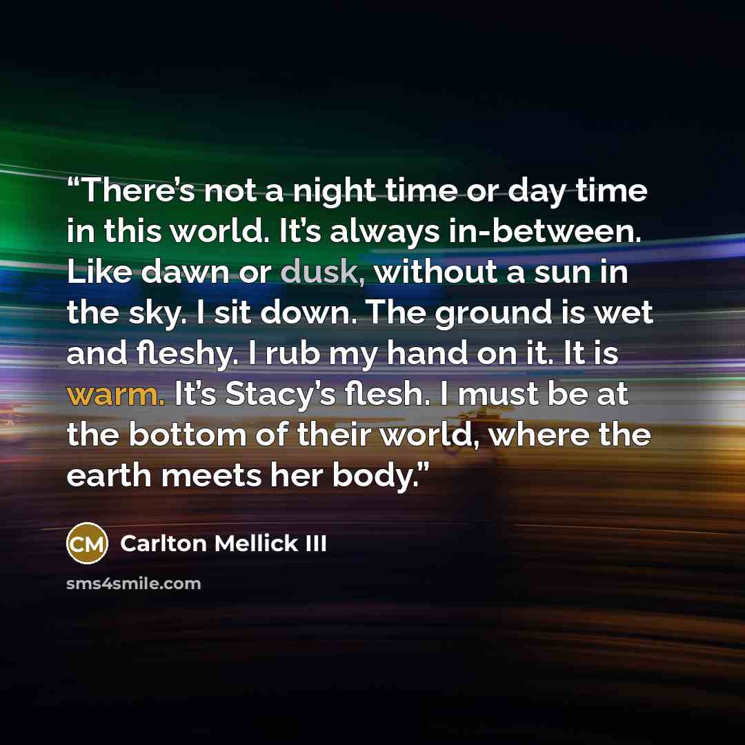 “There’s not a night time or day time in this world. It’s always in-between. Like dawn or dusk, without a sun in the sky. I sit down. The ground is wet and fleshy. I rub my hand on it. It is warm. It’s Stacy’s flesh. I must be at the bottom of their world, where the earth meets her body.” quote by Carlton Mellick III