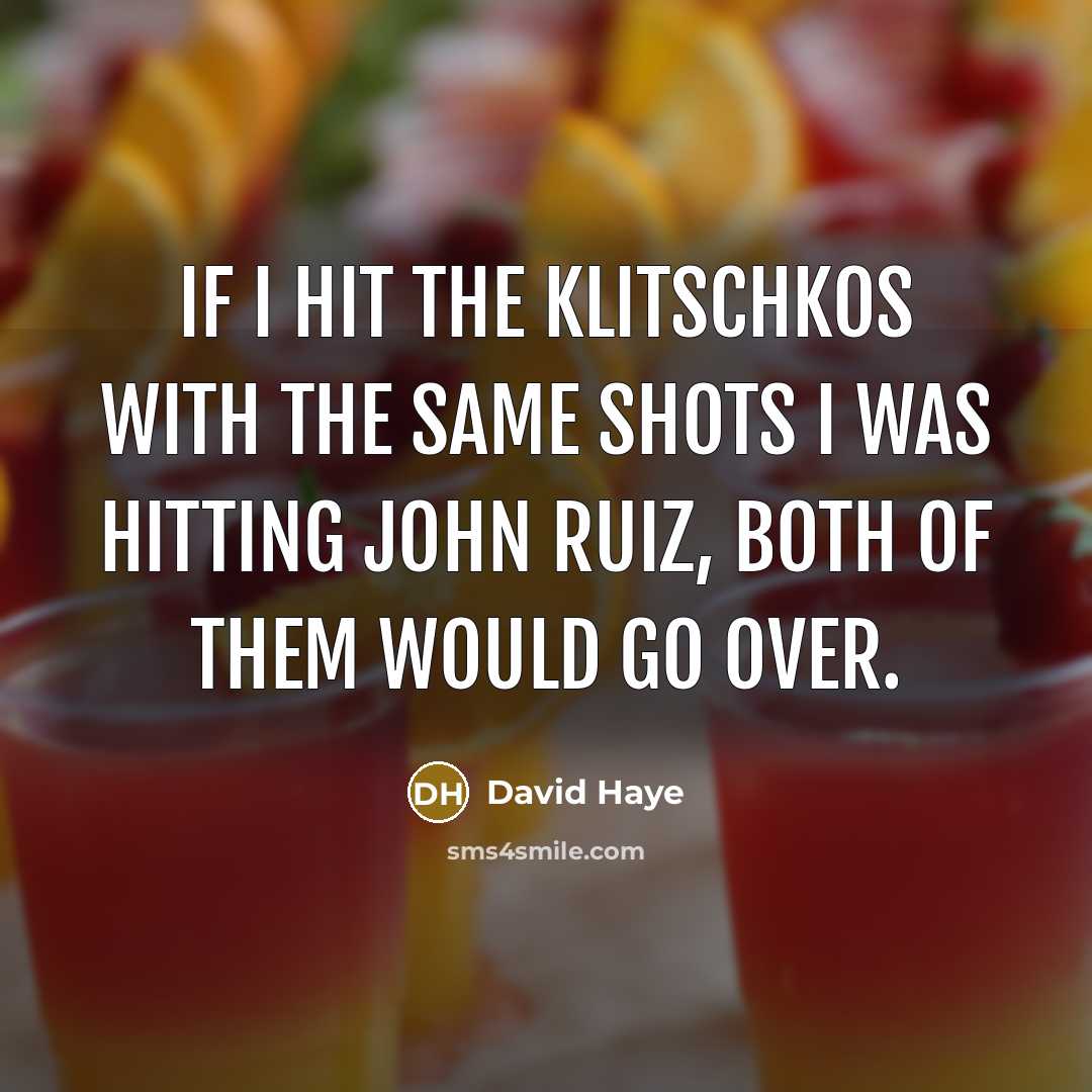 “If I hit the Klitschkos with the same shots I…” quote by David Haye