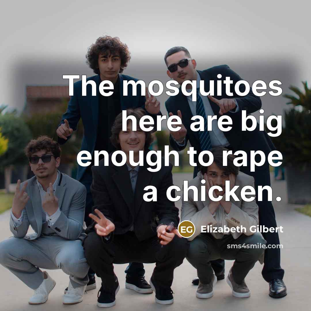“The mosquitoes here are big enough to rape a chicken.…” quote by Elizabeth Gilbert