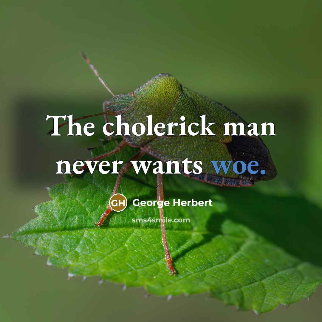 “The cholerick man never wants woe.” quote by George Herbert