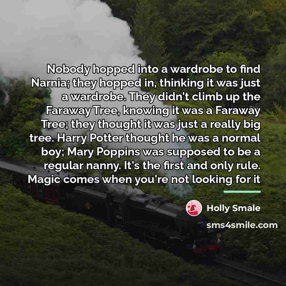 “Nobody hopped into a wardrobe to find Narnia; they hopped…” quote by Holly Smale