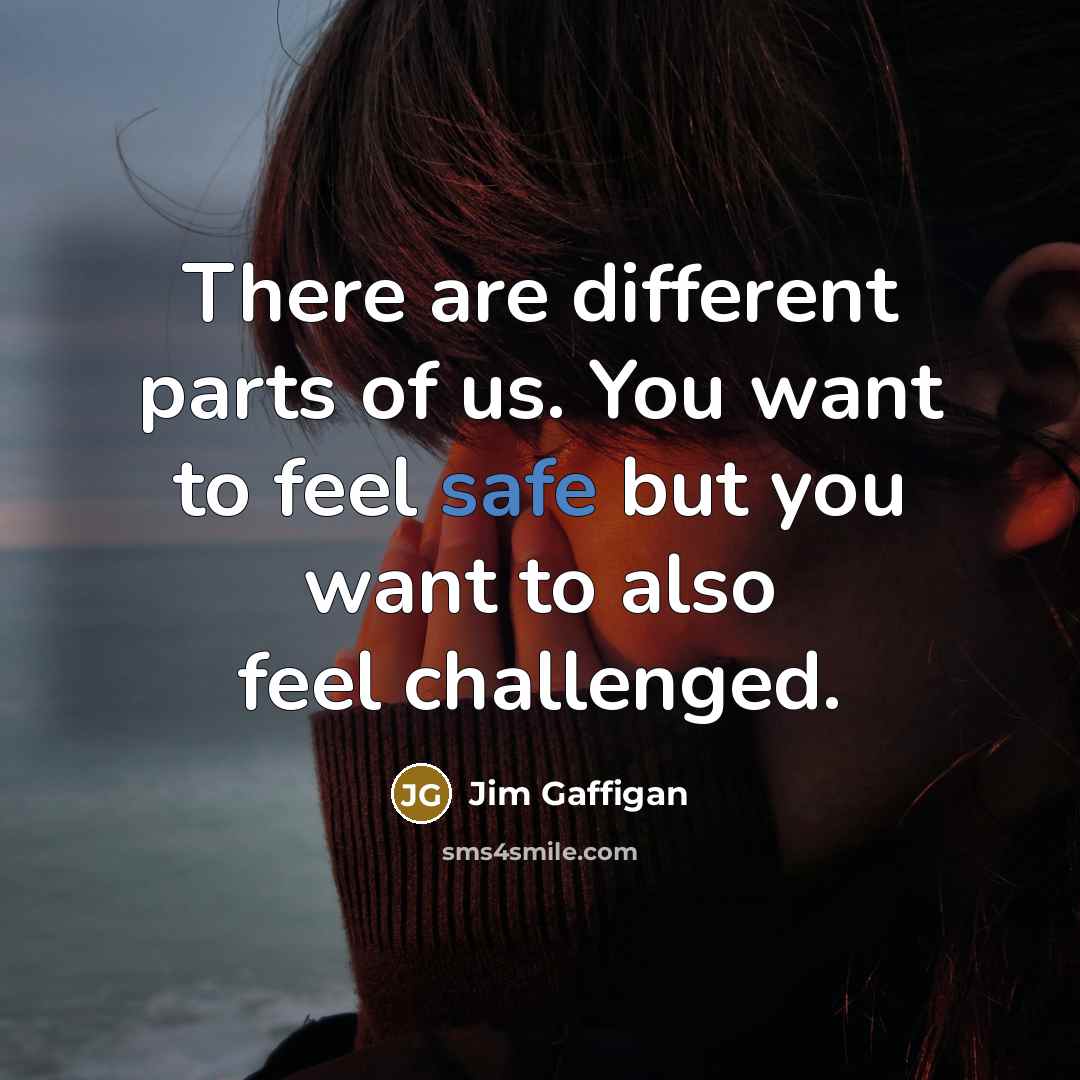 “There are different parts of us. You want to feel…” quote by Jim Gaffigan