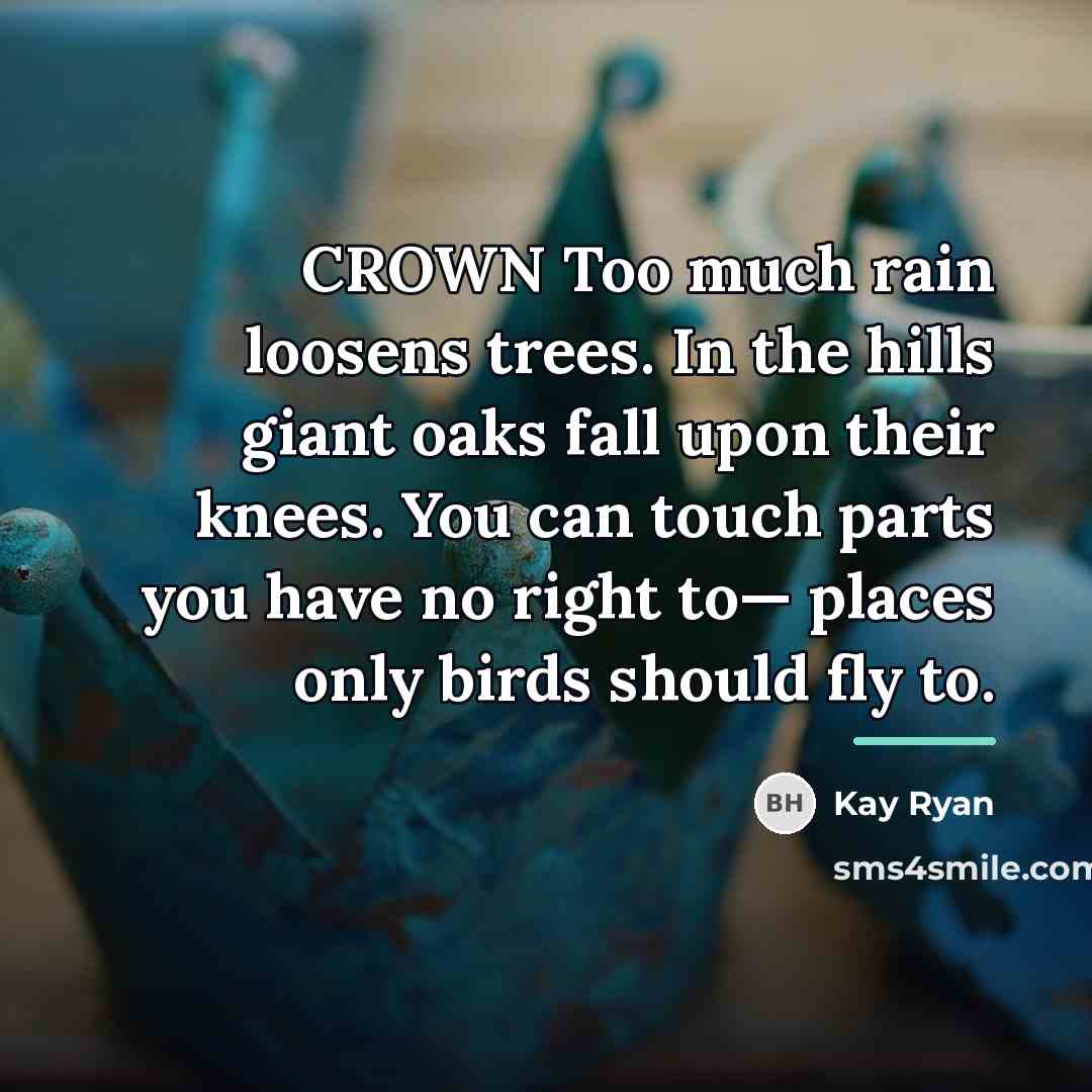 “CROWN Too much rain loosens trees. In the hills giant…” quote by Kay Ryan