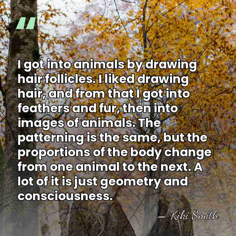 I got into animals by drawing hair follicles. I liked drawing hair,&hellip; - Kiki Smith