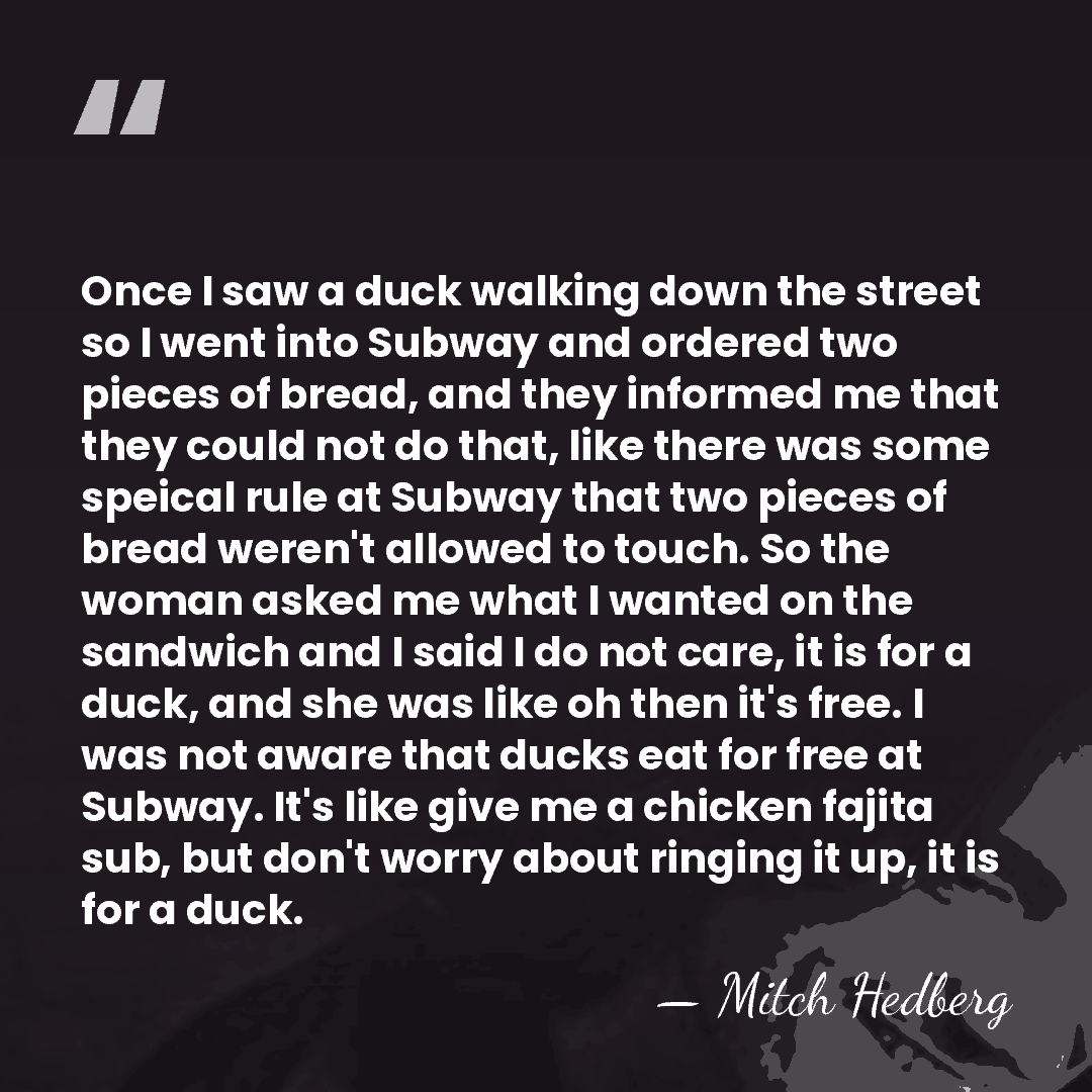 Once I saw a duck walking down the street so I went&hellip; - Mitch Hedberg