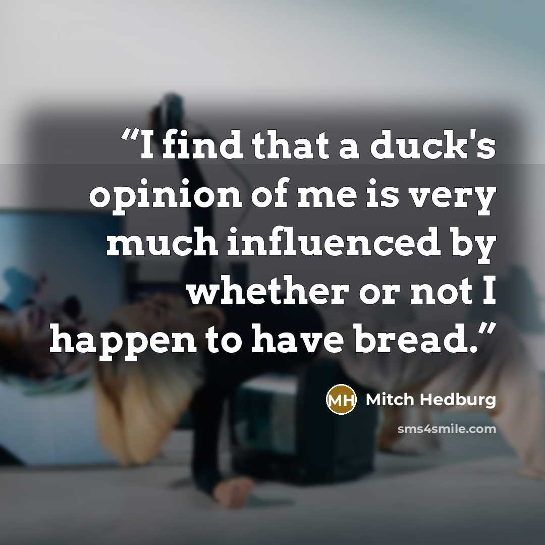 “I find that a duck's opinion of me is very much influenced by whether or not I happen to have bread.” quote by Mitch Hedburg