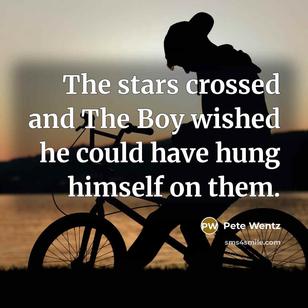 “The stars crossed and The Boy wished he could have…” quote by Pete Wentz