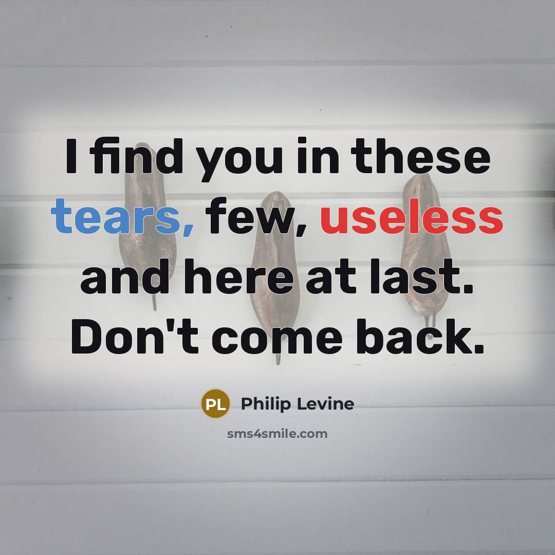 “I find you in these tears, few, useless and here at last. Don't come back.” quote by Philip Levine
