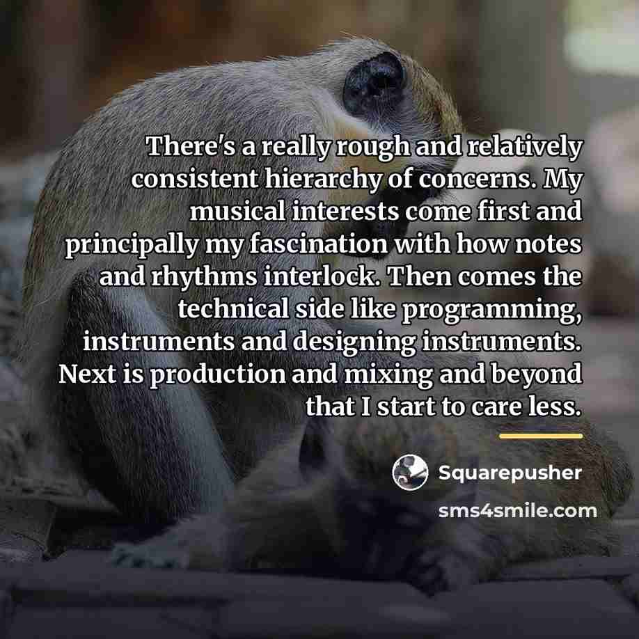 “There's a really rough and relatively consistent hierarchy of concerns.…” quote by Squarepusher