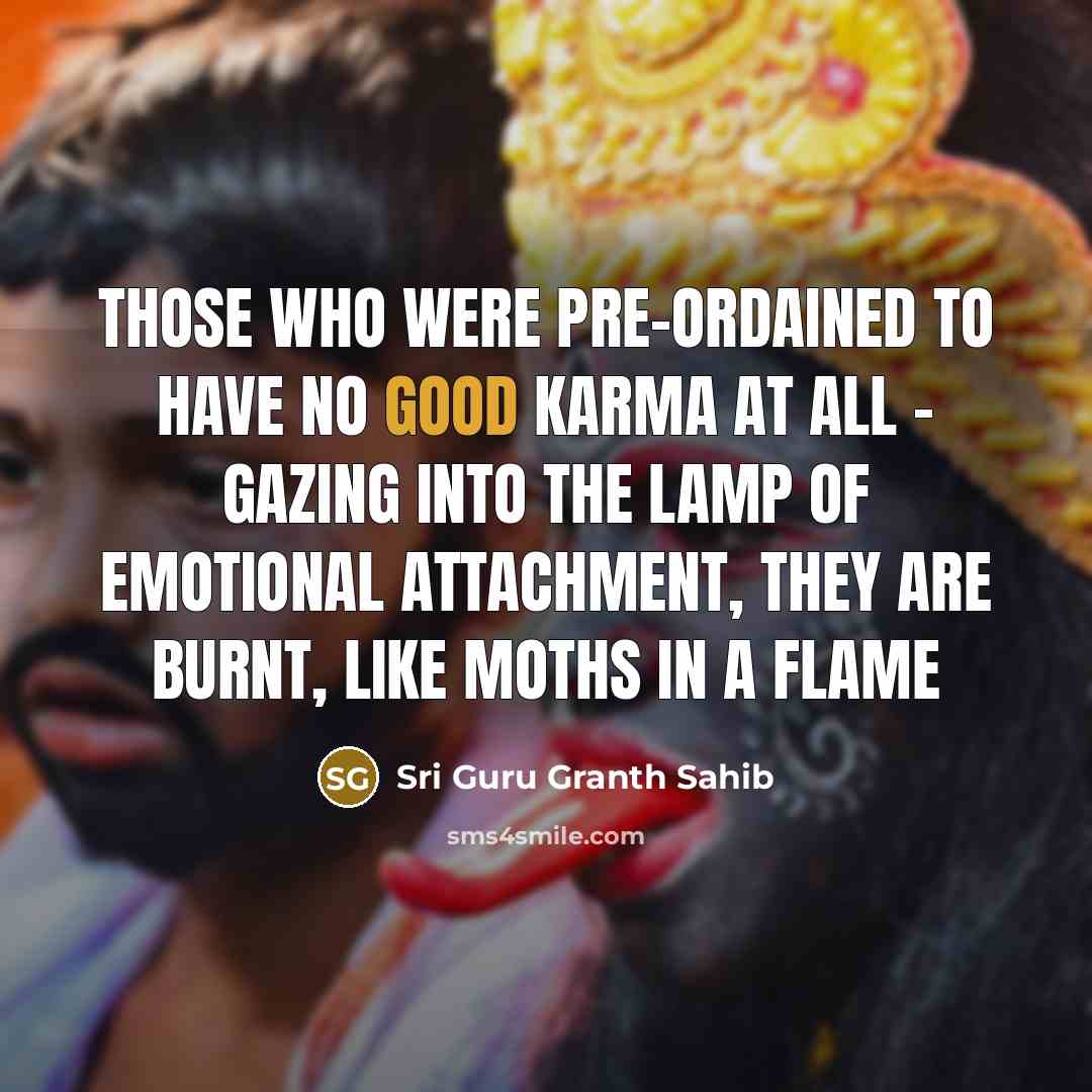 “Those who were pre-ordained to have no good karma at all - gazing into the lamp of emotional attachment, they are burnt, like moths in a flame” quote by Sri Guru Granth Sahib