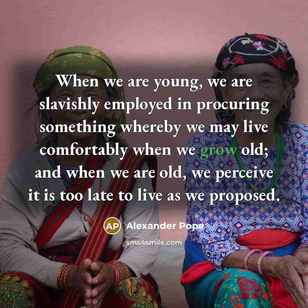 “When we are young, we are slavishly employed in procuring…” quote by Alexander Pope
