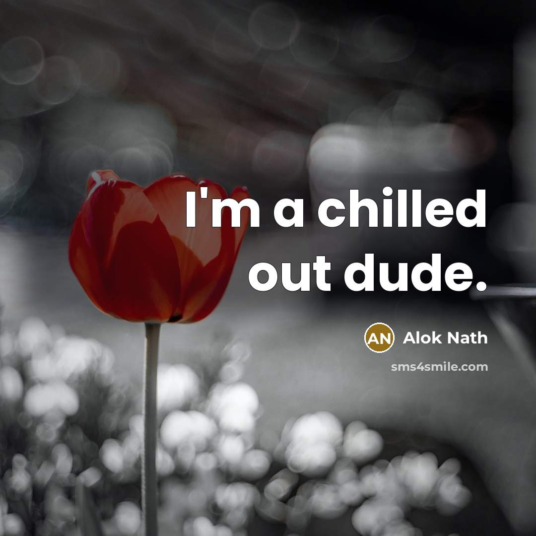 “I'm a chilled out dude.…” quote by Alok Nath