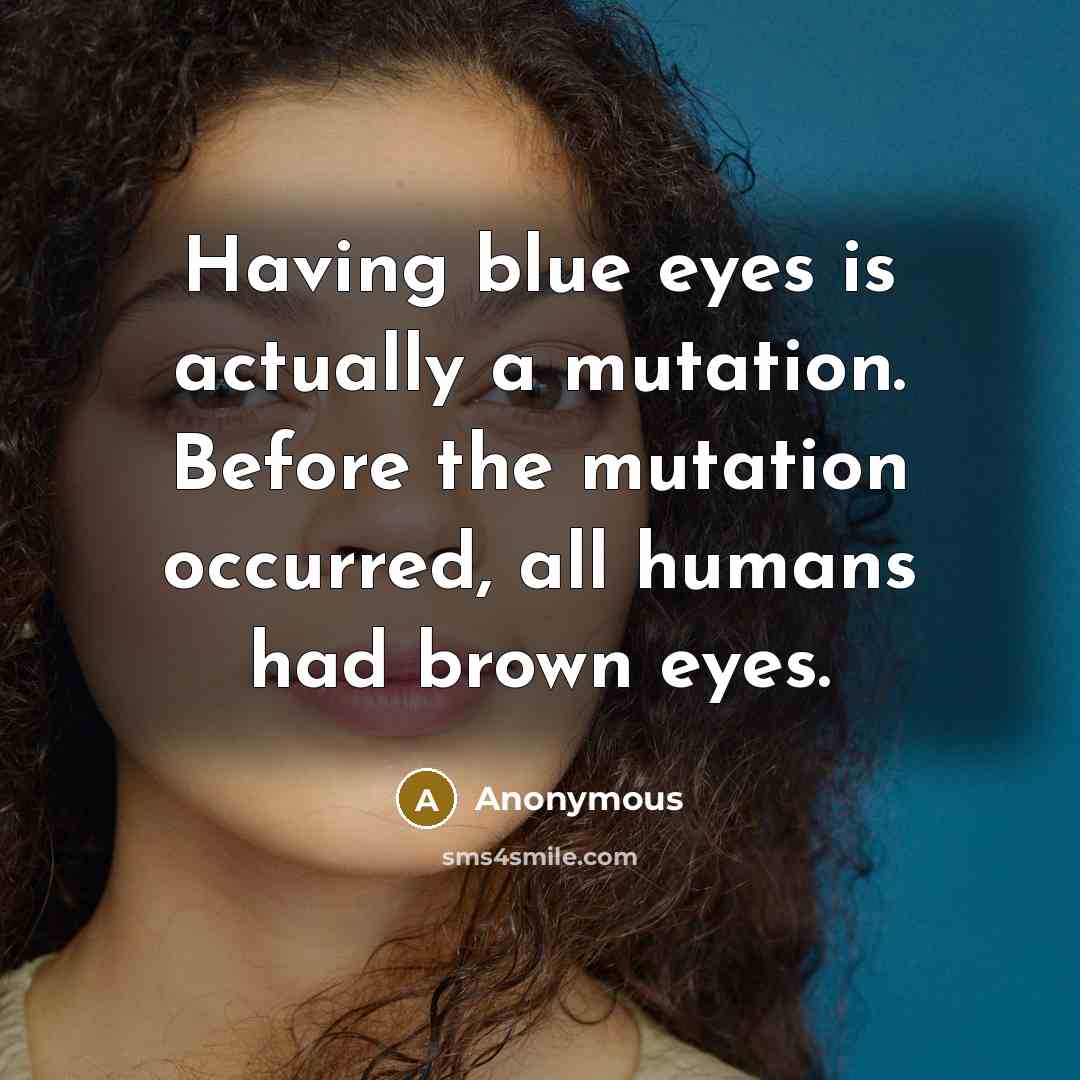 “Having blue eyes is actually a mutation. Before the mutation occurred, all humans had brown eyes.” quote by Anonymous