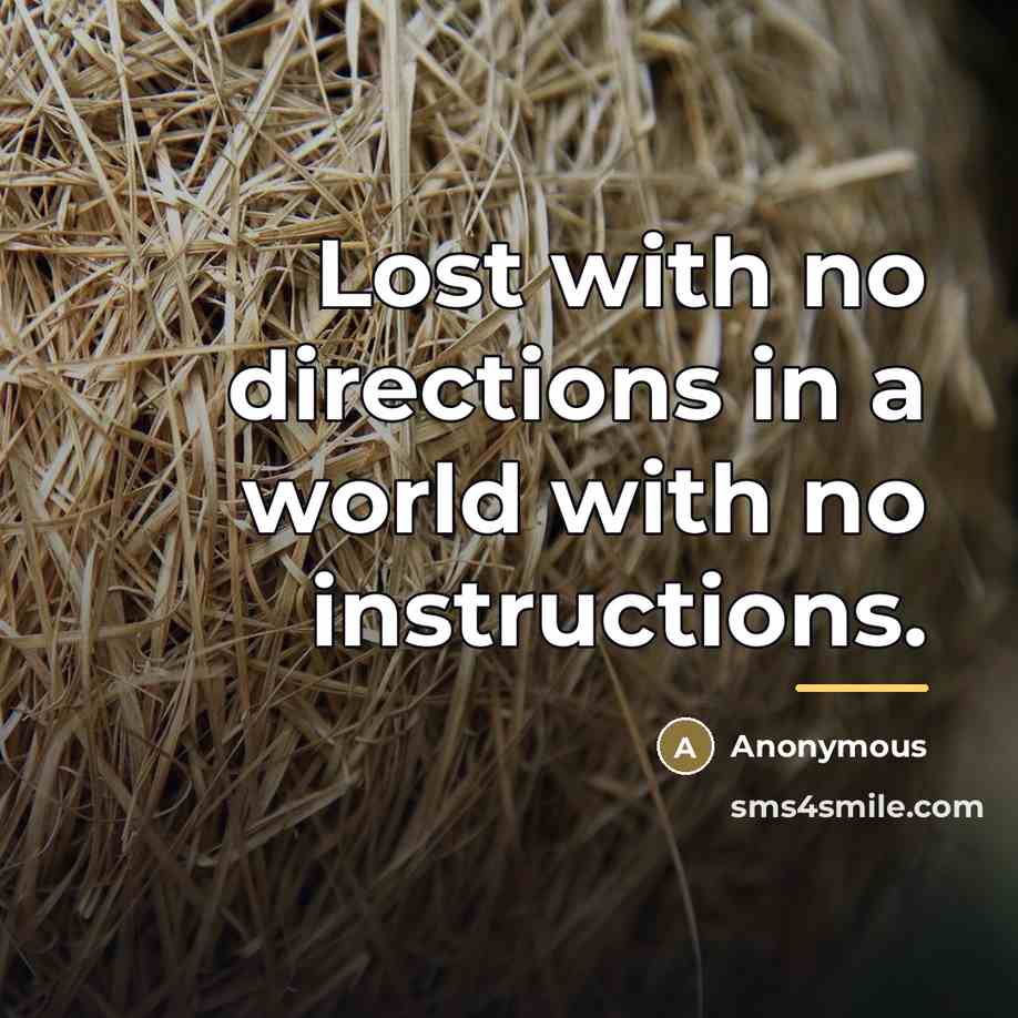 “Lost with no directions in a world with no instructions.…” quote by Anonymous