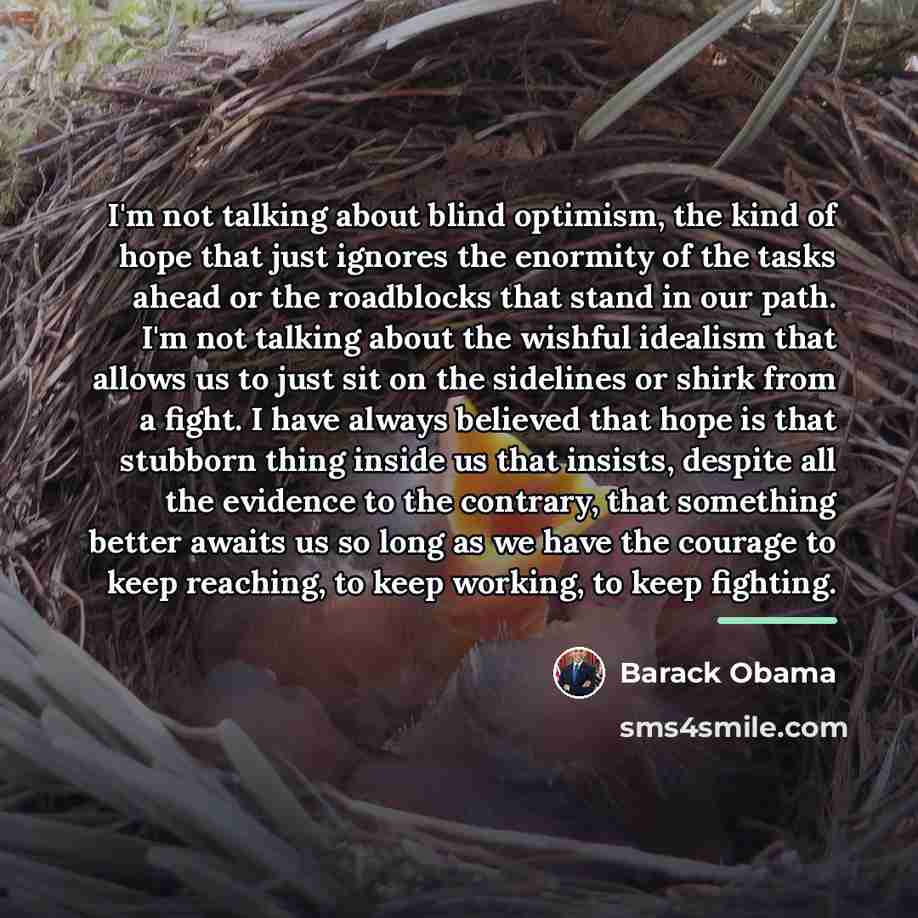 “I'm not talking about blind optimism, the kind of hope…” quote by Barack Obama