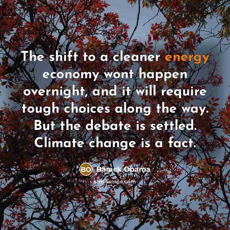 “The shift to a cleaner energy economy wont happen overnight,…” quote by Barack Obama