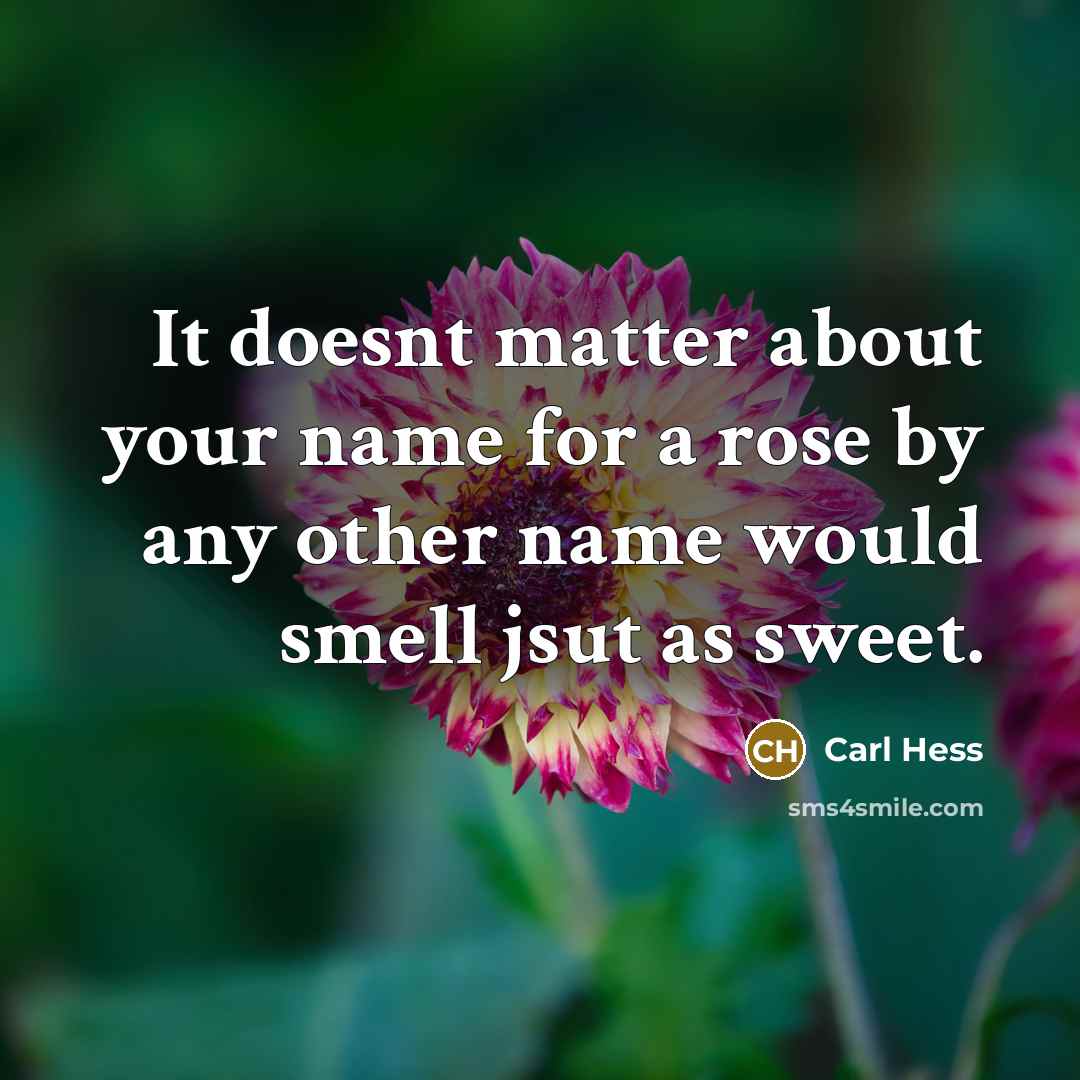 “It doesnt matter about your name for a rose by…” quote by Carl Hess