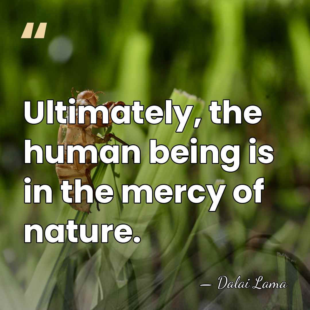 Ultimately, the human being is in the mercy of nature. - Dalai Lama