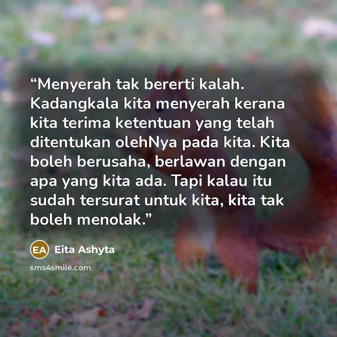 “Menyerah tak bererti kalah. Kadangkala kita menyerah kerana kita terima ketentuan yang telah ditentukan olehNya pada kita. Kita boleh berusaha, berlawan dengan apa yang kita ada. Tapi kalau itu sudah tersurat untuk kita, kita tak boleh menolak.” quote by Eita Ashyta
