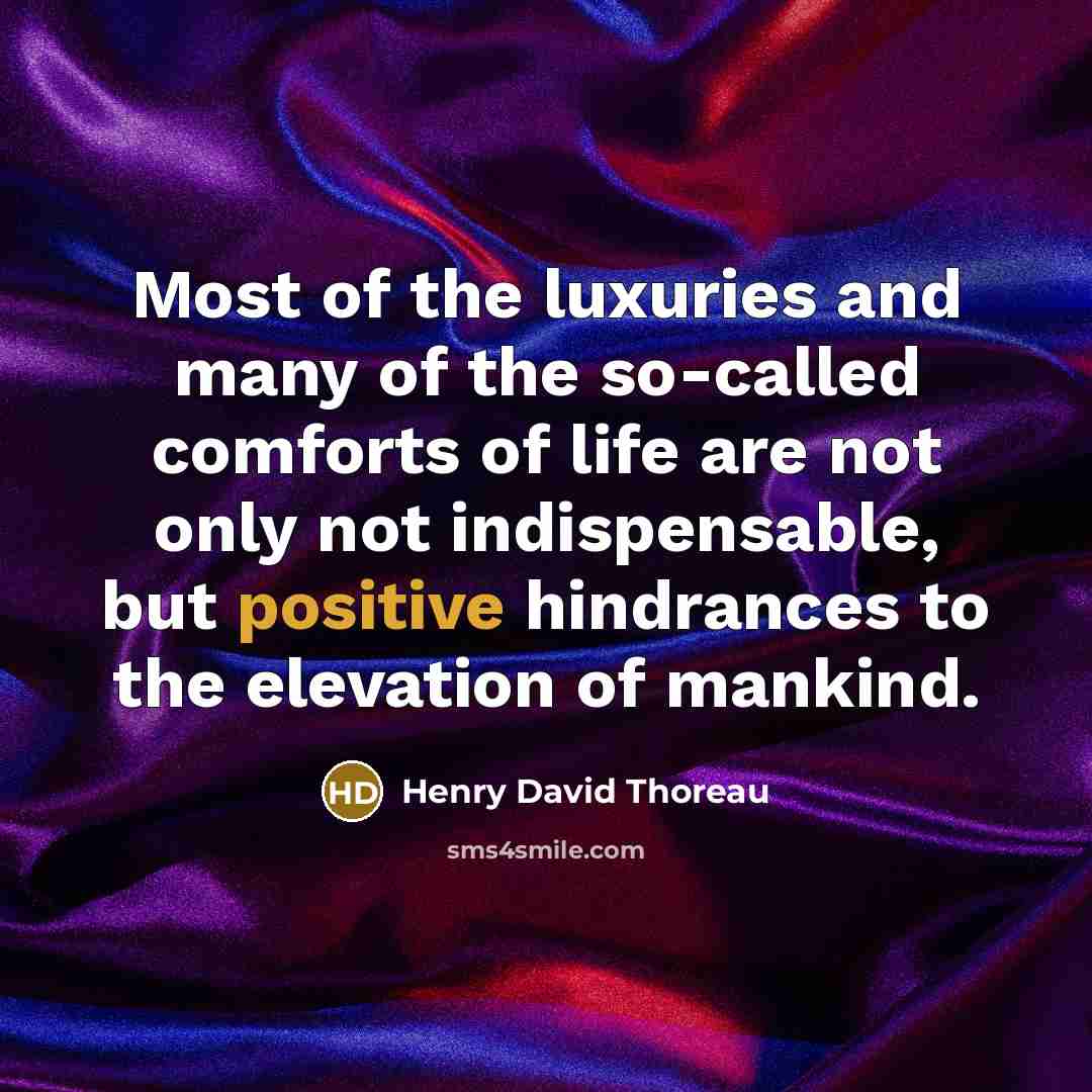 “Most of the luxuries and many of the so-called comforts…” quote by Henry David Thoreau