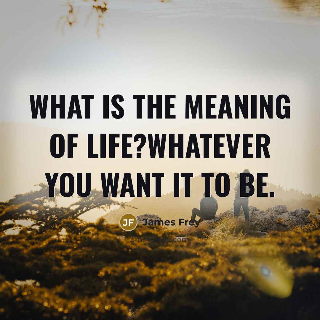 “What is the meaning of life?Whatever you want it to…” quote by James Frey