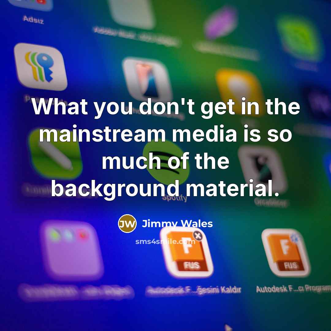 “What you don't get in the mainstream media is so…” quote by Jimmy Wales