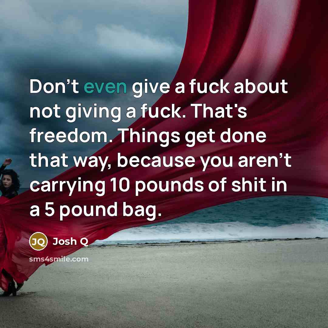 “Don't even give a fuck about not giving a fuck.…” quote by Josh Q