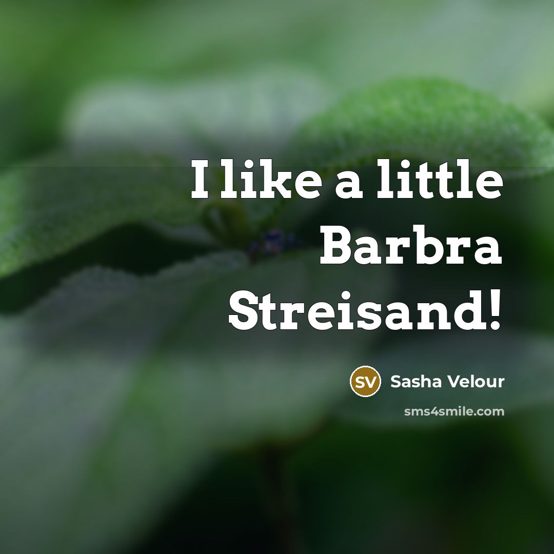 “I like a little Barbra Streisand!…” quote by Sasha Velour