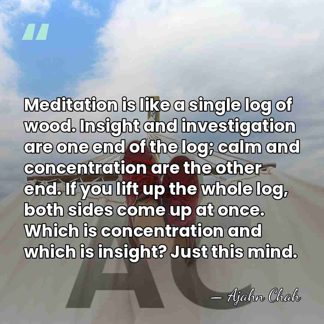 Meditation is like a single log of wood. Insight and investigation are&hellip; - Ajahn Chah