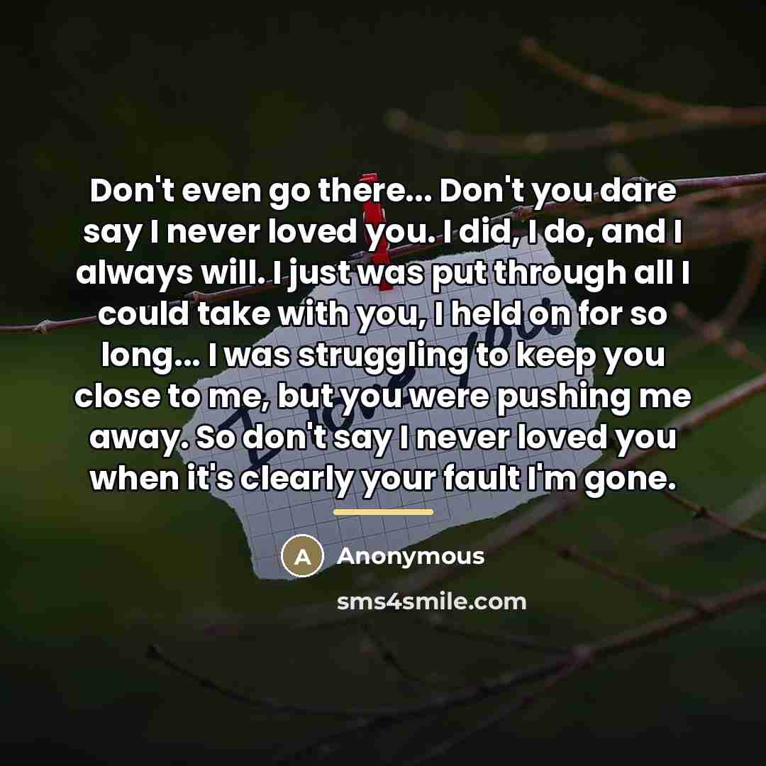 “Don't even go there... Don't you dare say I never…” quote by Anonymous