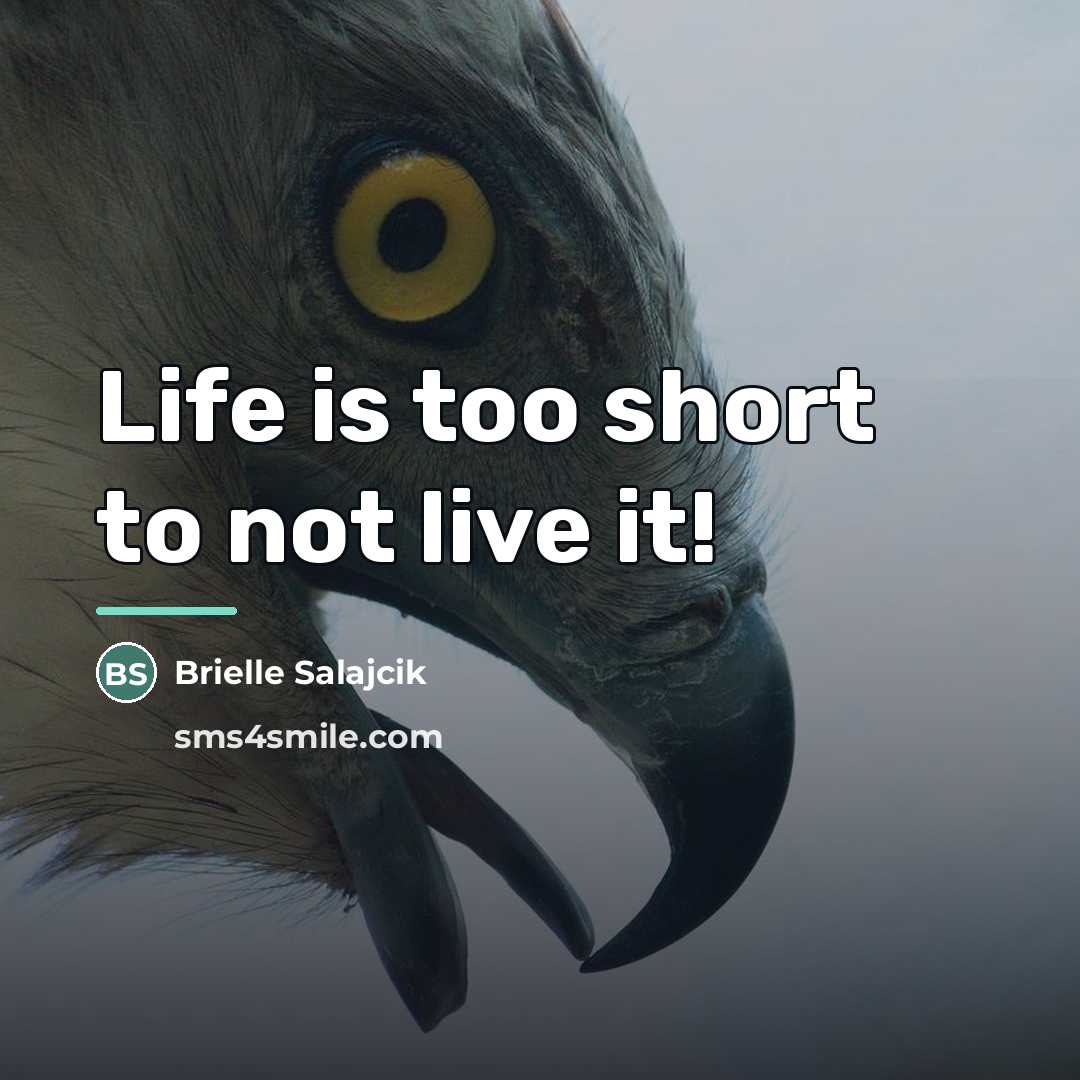 “Life is too short to not live it!…” quote by Brielle Salajcik